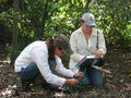 Liz and Kate Ruskin ’08 measuring tree sapling health for cormorant impact study on South Brother Island. (Photo: Susan Elbin)